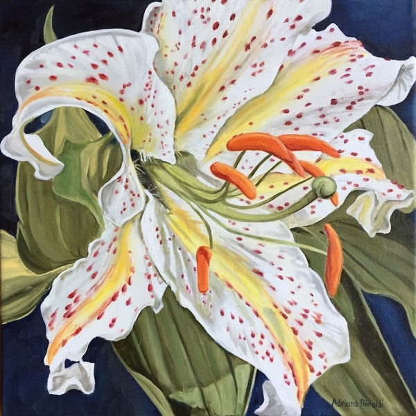 A Delicate Display, 16x16, Oil