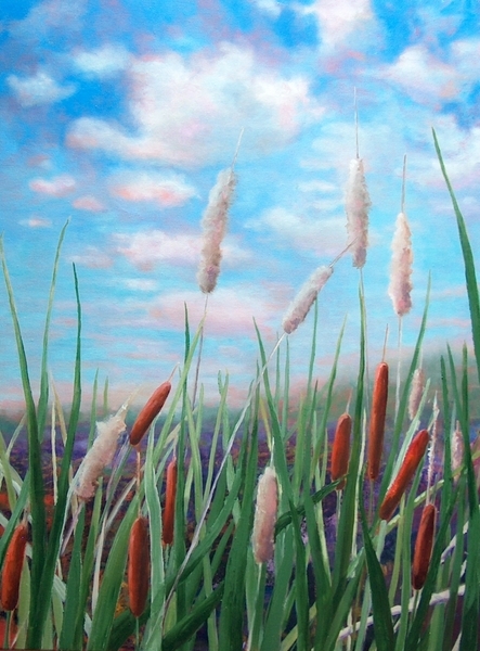 Dixon Swamp, Oil, 30x40 SOLD