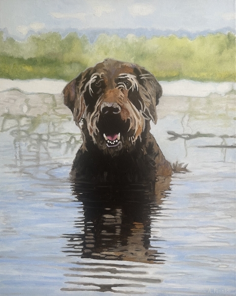 Jasper, 24x24 Commission