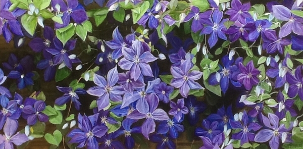 Loula's Love, oil, 18x36, commission