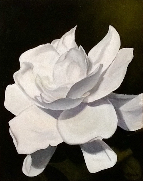 Magnolia SOLD