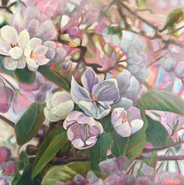 New fruit blossom, oil, 24x24