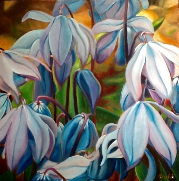 Scilla, 24x24, oil, with white frame - SOLD