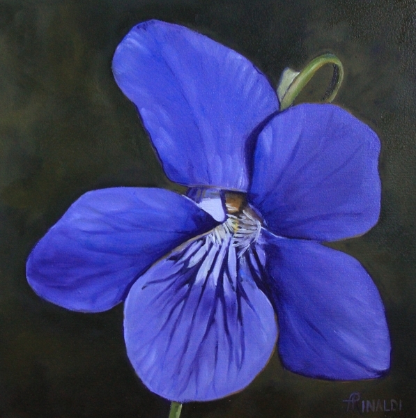 Violet, 12x12, Oil